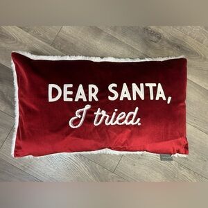 Chic “Dear Santa I Tried” Christmas Velour Pillow